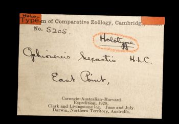 Media type: image;   Invertebrate Zoology OPH-5205 Description: Handwritten labels for this specimen included in the specimen tray.;  Aspect: labels